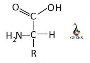 histidine structure