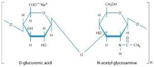 hyaluronic acid structure