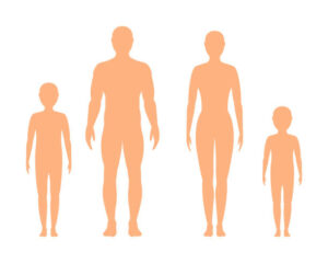 Humans as heterotrophs Examples