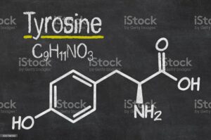 tyrosine amino acid structure