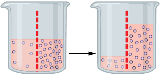 passive transport examples