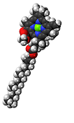 chlorophyll structure