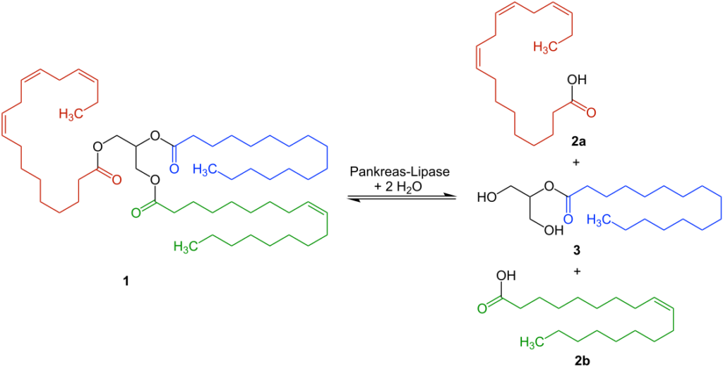 metabolic enzyme example