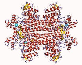 lyase enzyme example
