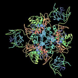 allosteric enzyme examples