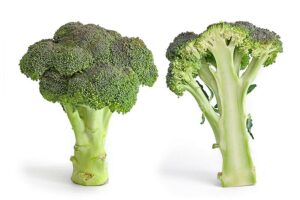 800px Broccoli and cross section edit