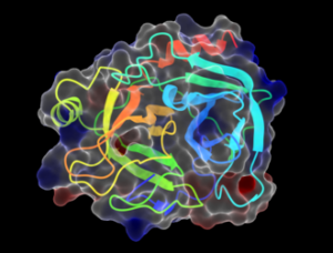 metabolic enzyme example