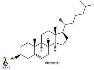 cholesterol