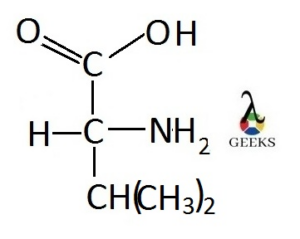 valine amino acid structure