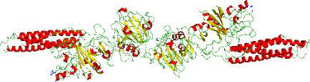 15 Fibrous Protein Example: Explanation You Should Know – Lambda Geeks