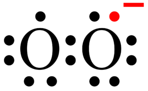 superoxide example