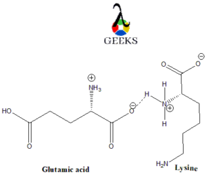 glutamic acid 1