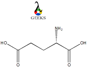 glutamic acid structure