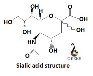 sialic acid structure