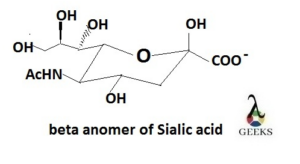 sialic acid structure