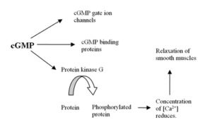 competitive inhibition examples