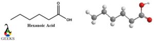 hexanoic 3d