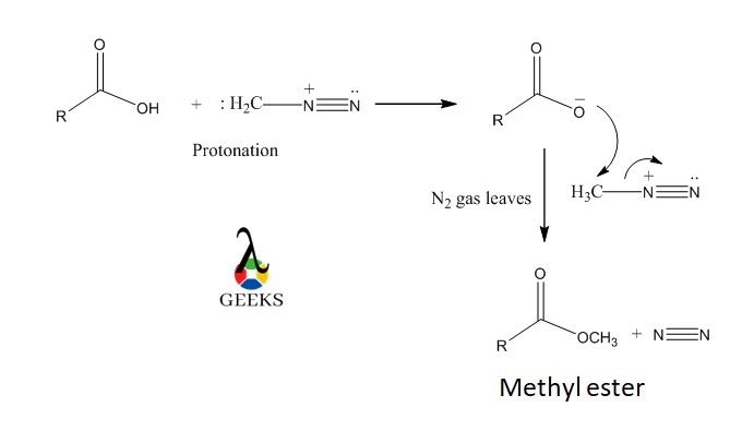 carboxylic acid