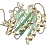 220px TriosePhosphateIsomerase Ribbon pastel trans 150x150 1