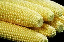 220px VegCorn