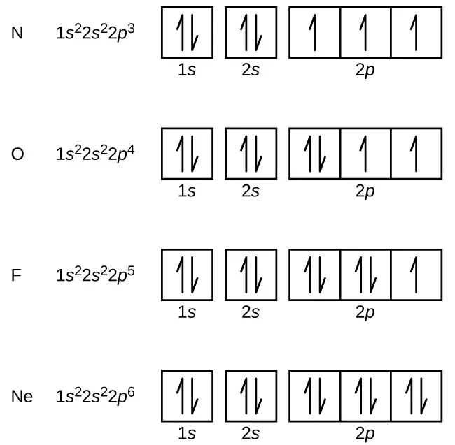 CNX Chem 06 04 NOFNe img