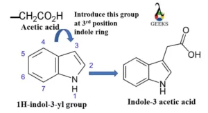 acetic acid 300x164 1