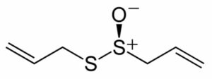 allicin 300x112 1