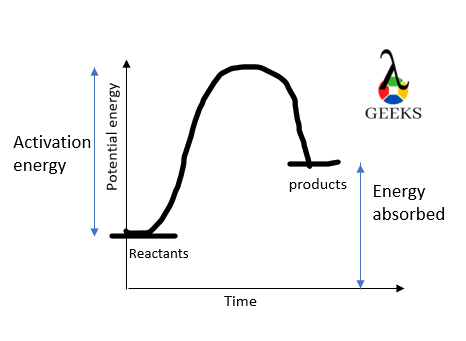 endo 2