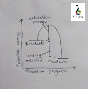 exothermic 1