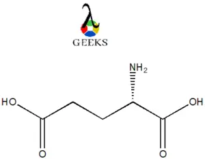 glutamic acid 300x233 1