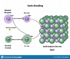 nacl formation 300x253 1