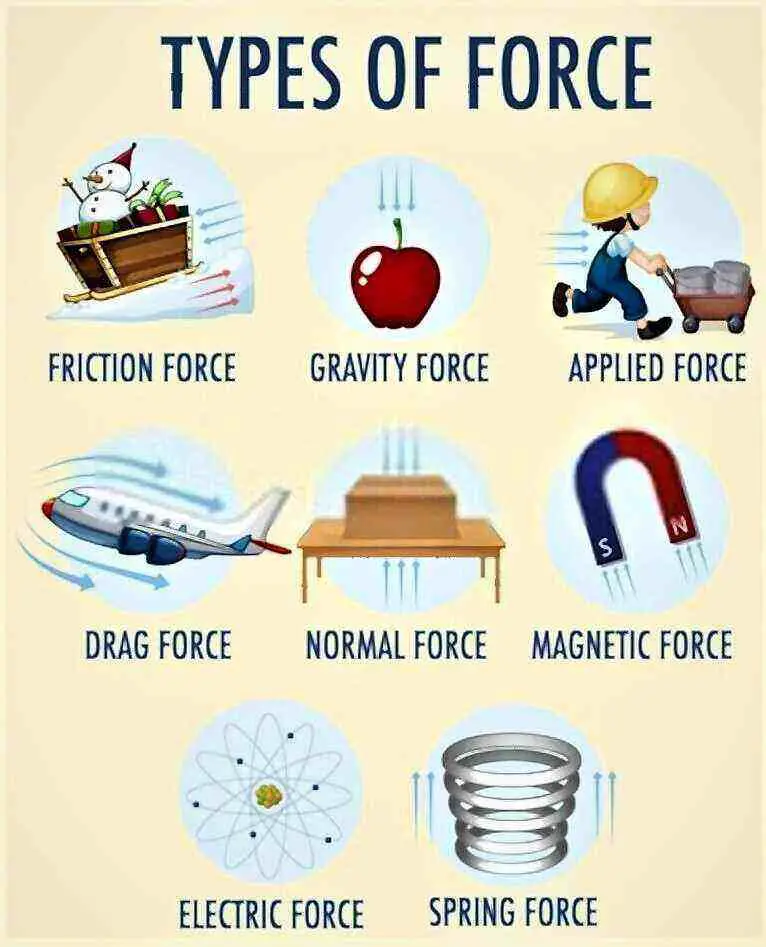 force-types-of-force-worksheet-printable-and-distance-learning