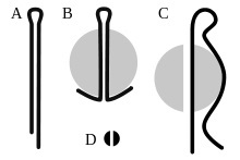 220px CotterPins