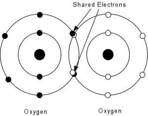 covalent bond 300x236 1