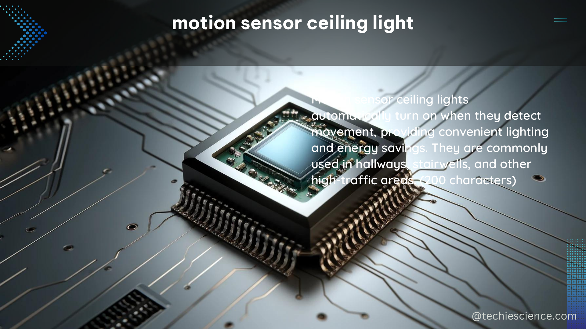 motion sensor ceiling light