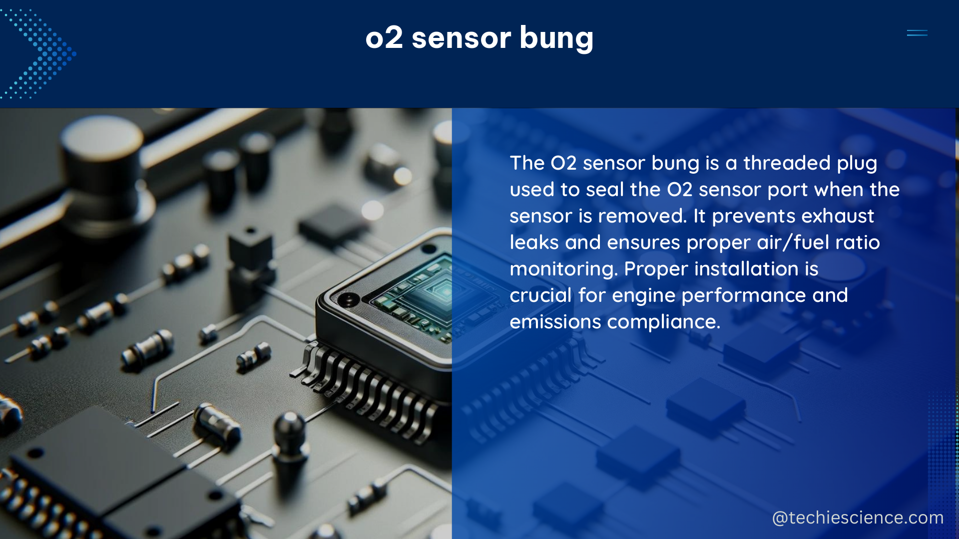 o2 sensor bung