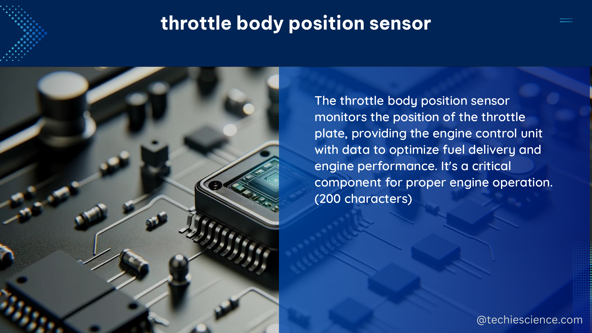 throttle body position sensor