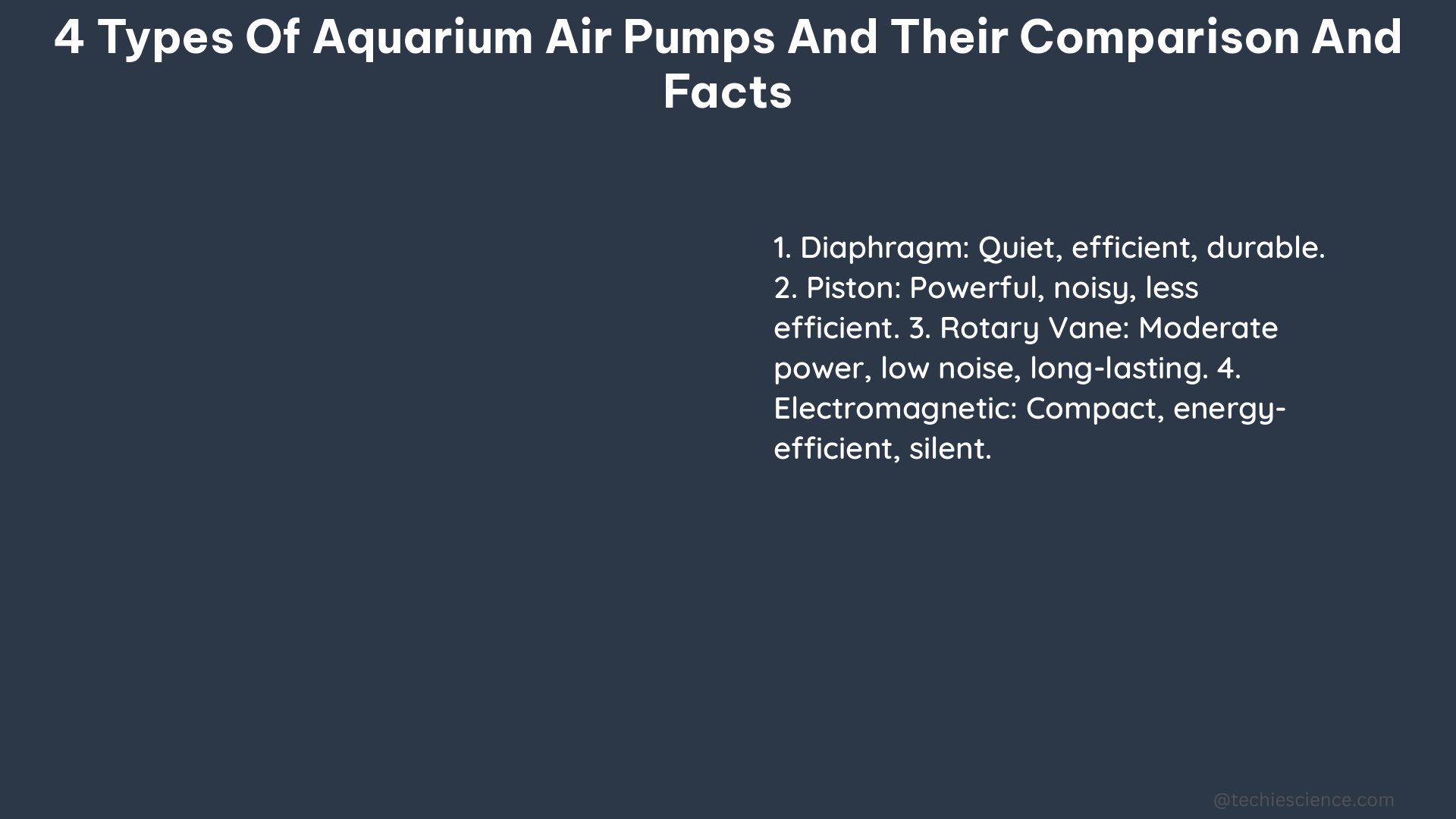 4 types of aquarium air pumps and their comparison and facts