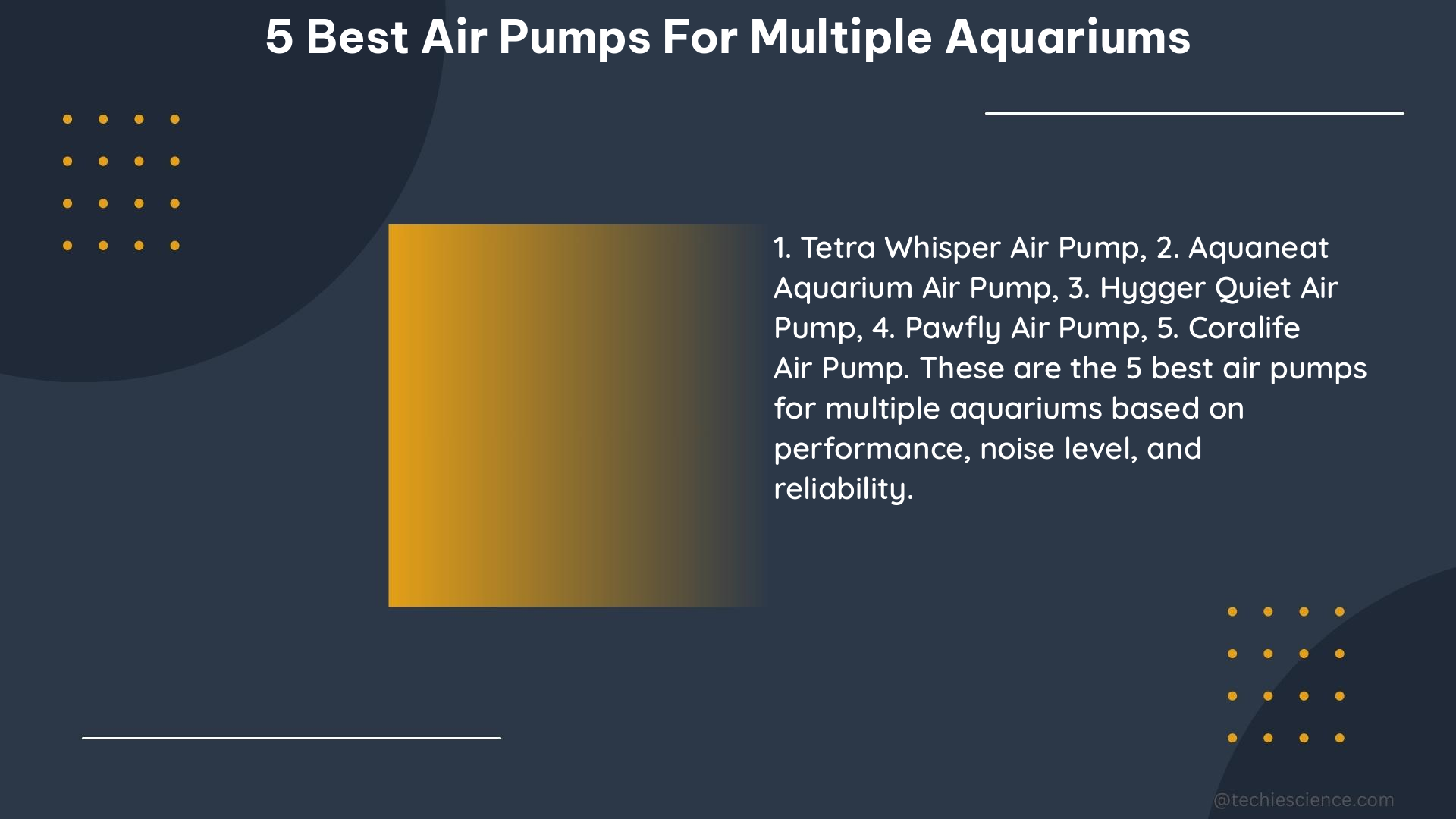 5 best air pumps for multiple aquariums