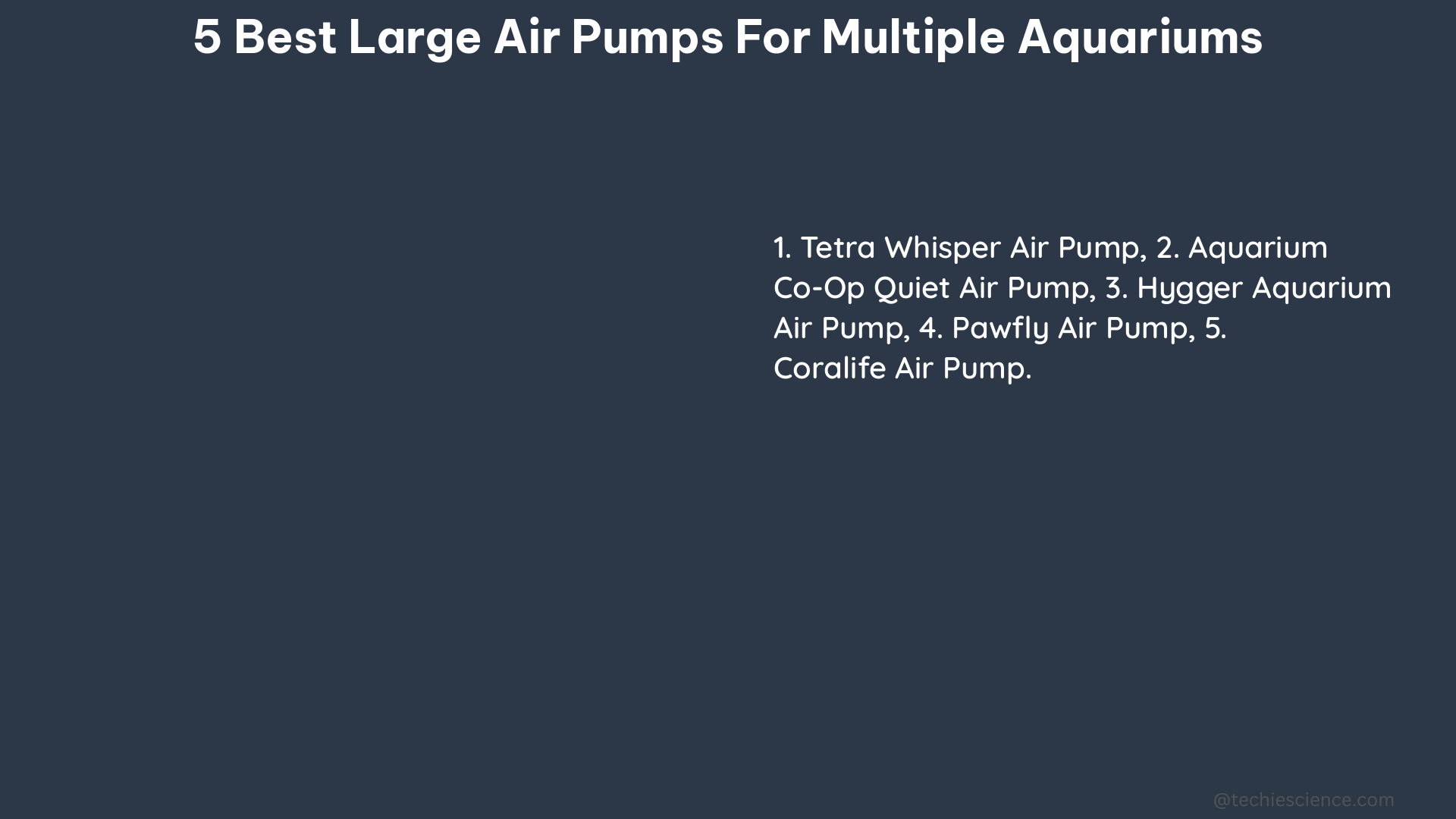 5 best large air pumps for multiple aquariums