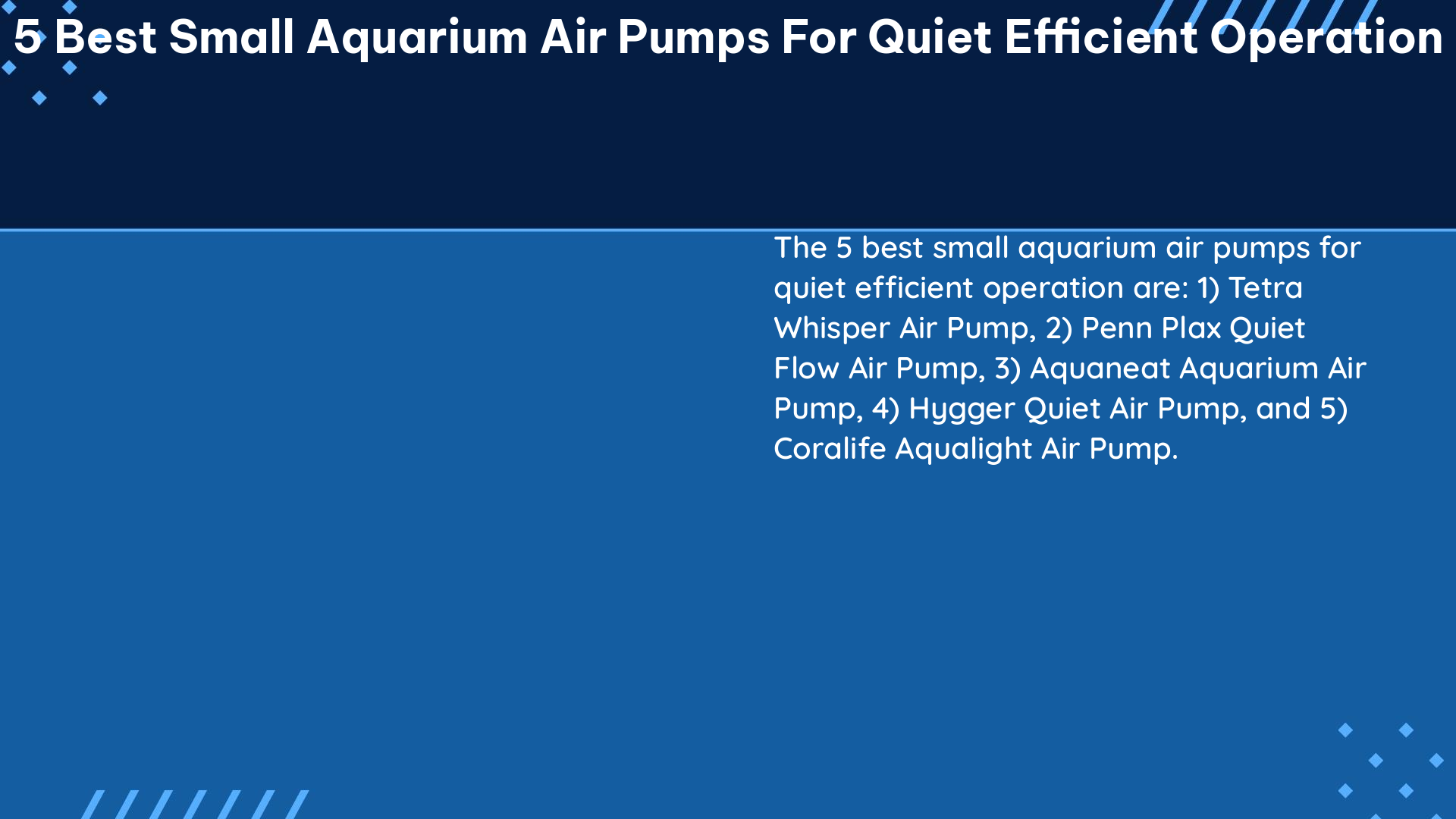 5 best small aquarium air pumps for quiet efficient operation