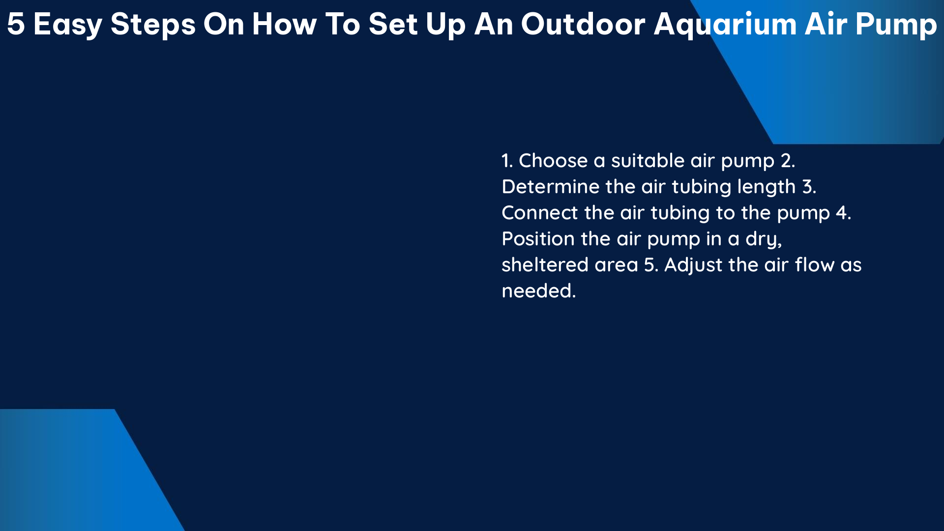 5 easy steps on how to set up an outdoor aquarium air pump