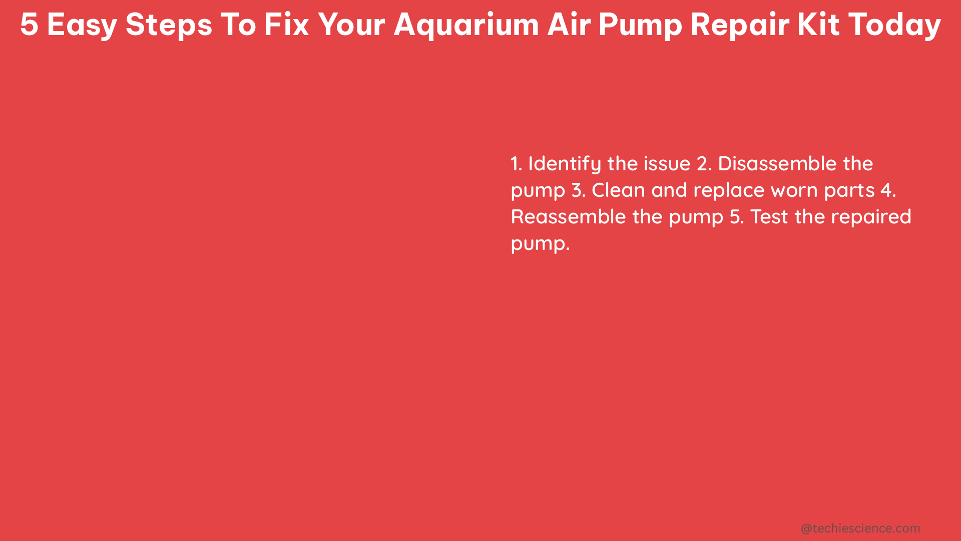 5 easy steps to fix your aquarium air pump repair kit today