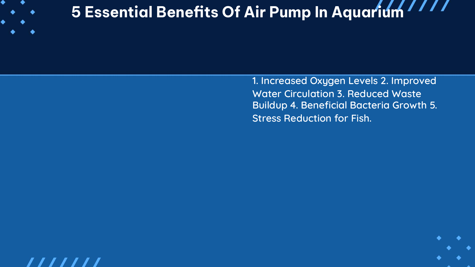 5 essential benefits of air pump in aquarium