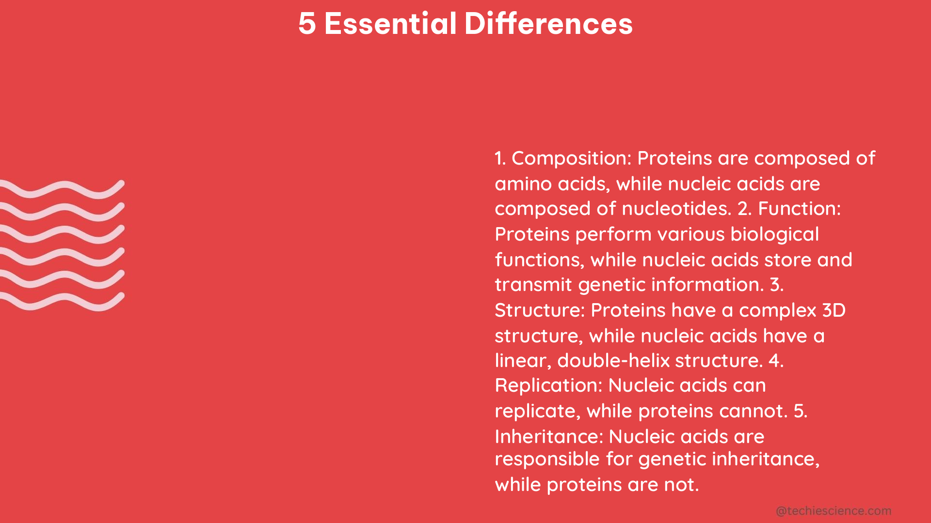 5 essential differences