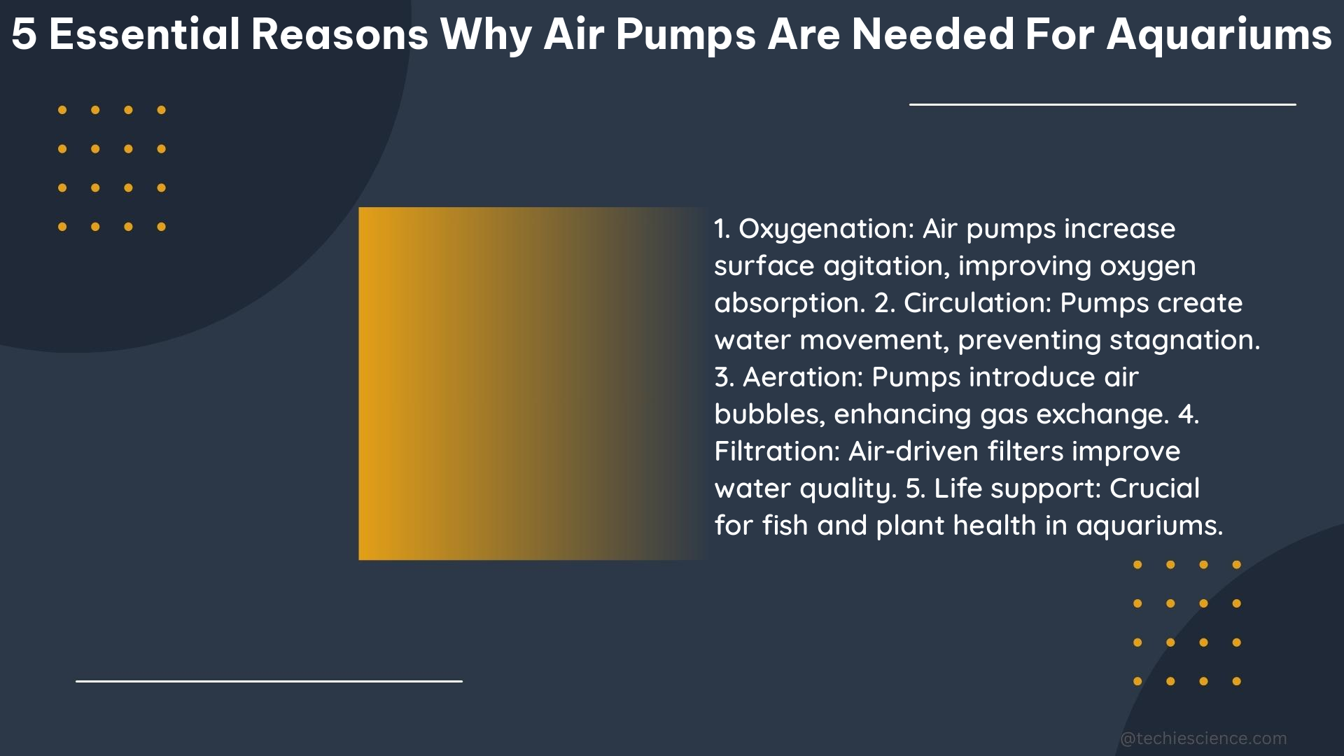 5 essential reasons why air pumps are needed for aquariums