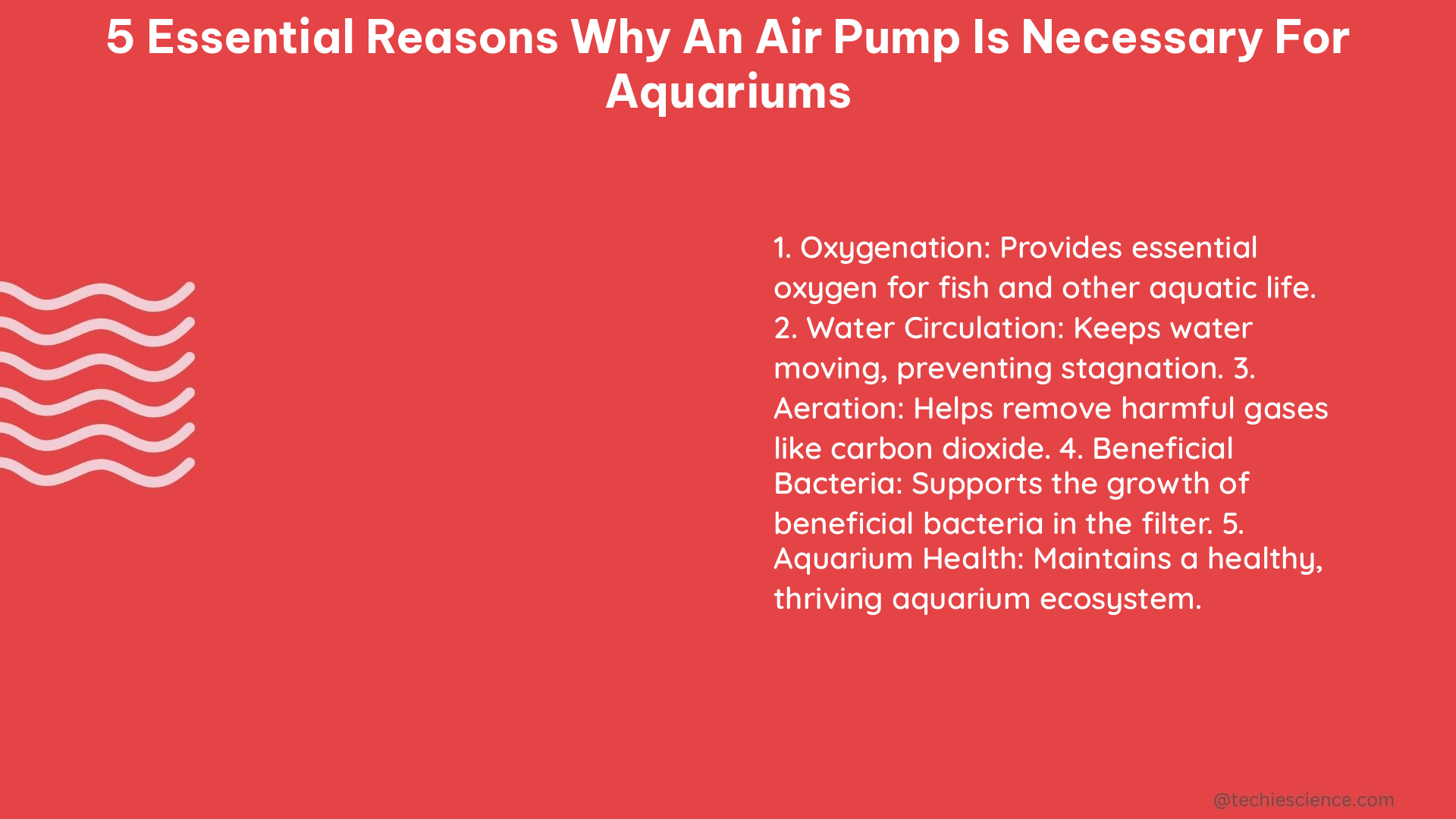 5 essential reasons why an air pump is necessary for aquariums