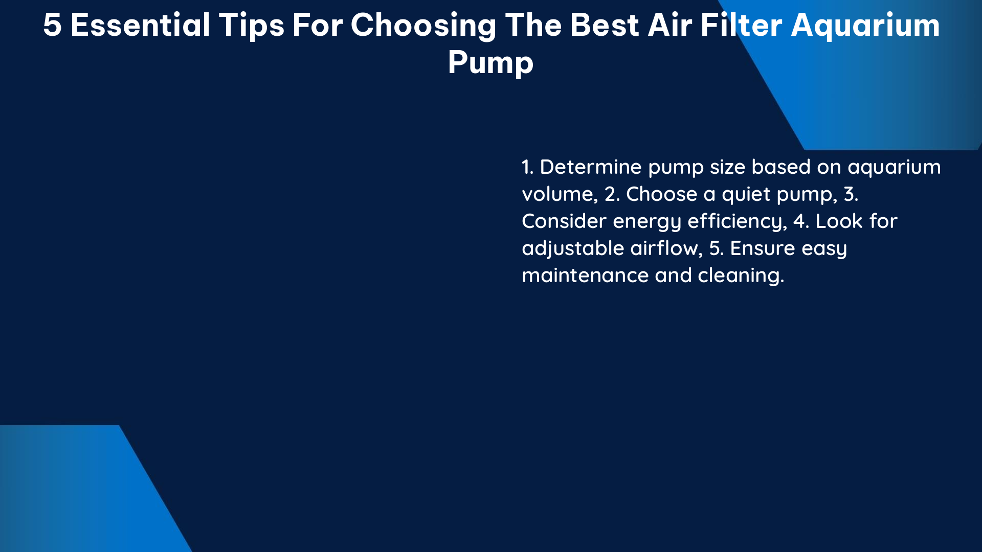 5 essential tips for choosing the best air filter aquarium pump