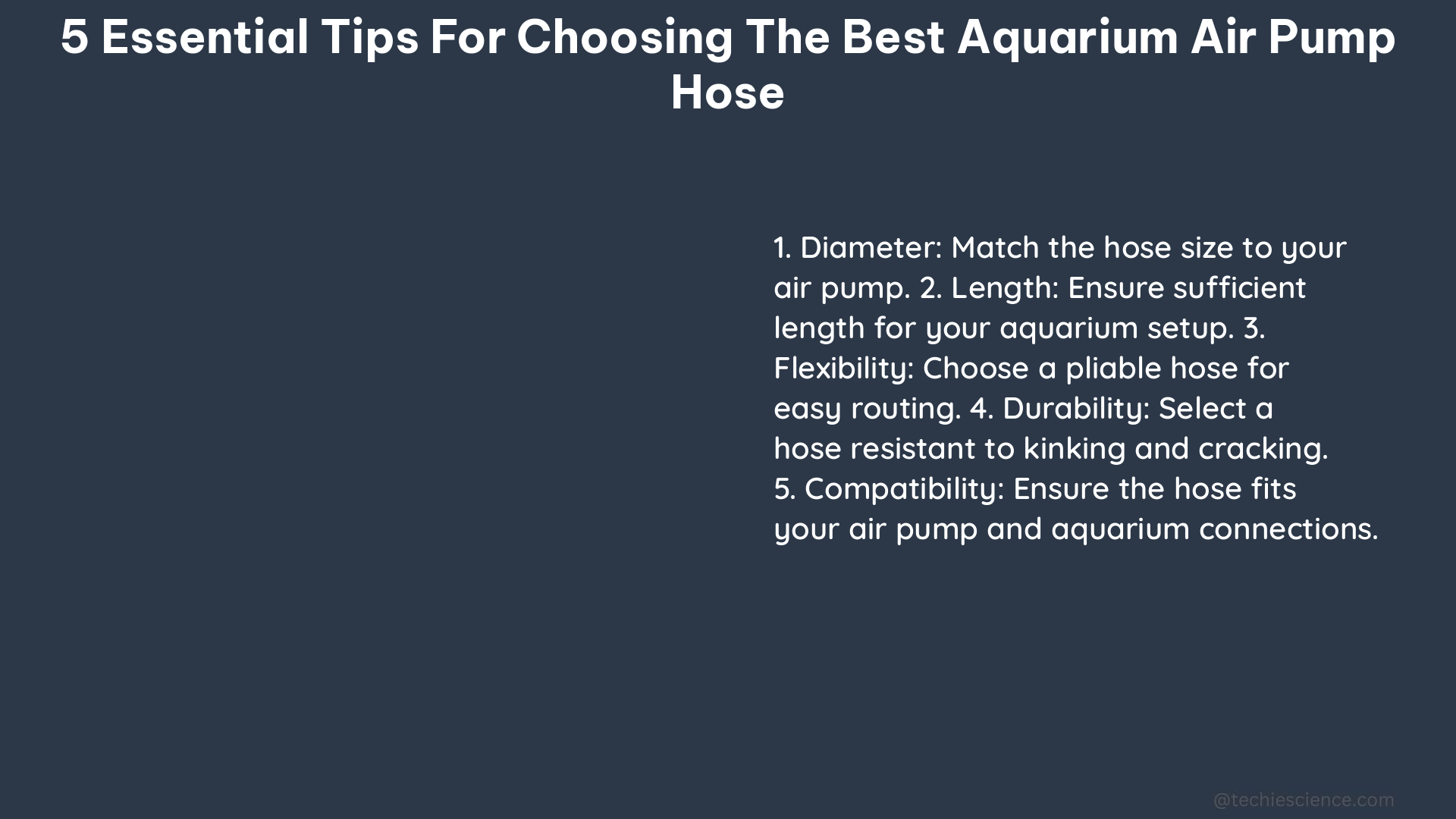 5 essential tips for choosing the best aquarium air pump hose