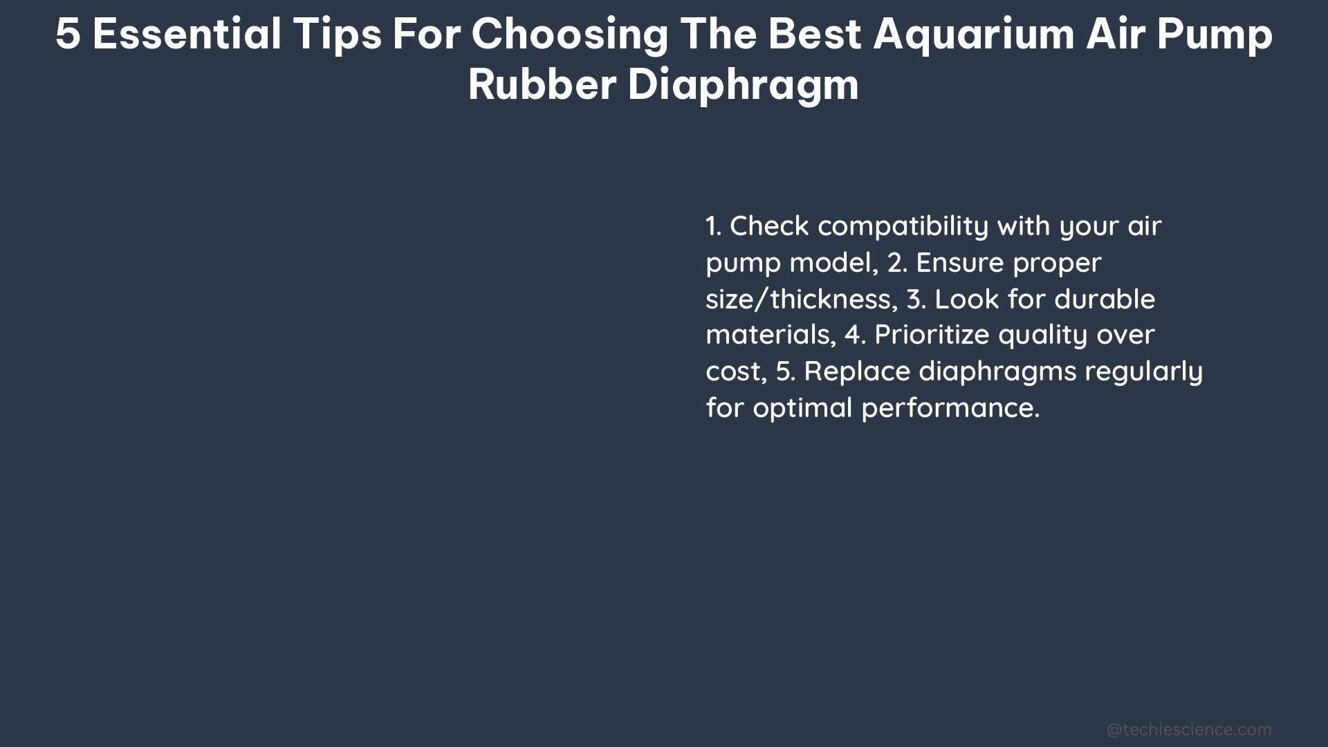 5 essential tips for choosing the best aquarium air pump rubber diaphragm